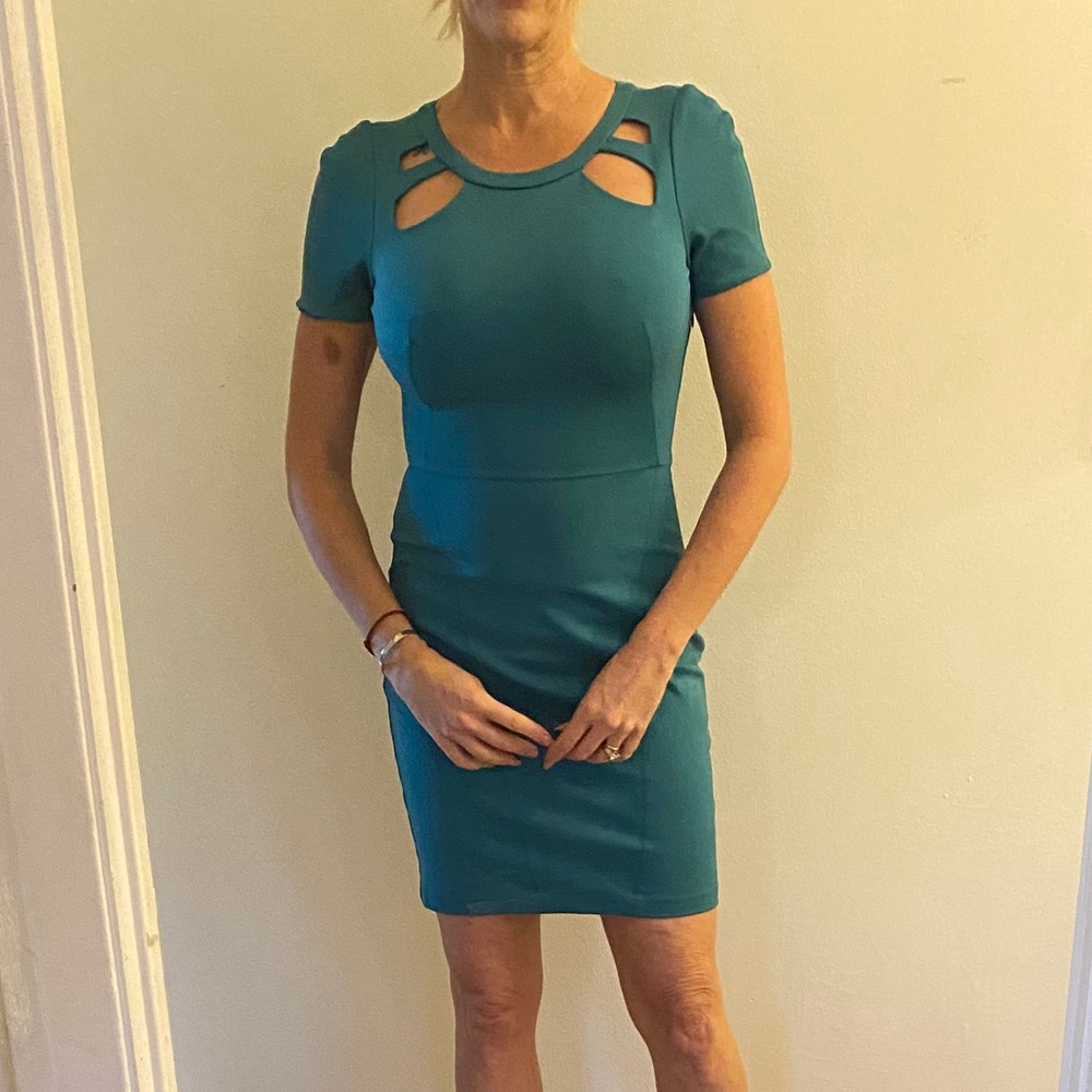 Halston Heritage Dress